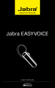 EASYVOICE