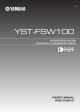 YST-FSW100