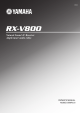 RX-V800